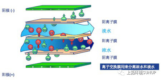 电渗析法海水淡化原理  (图源网络).jpg