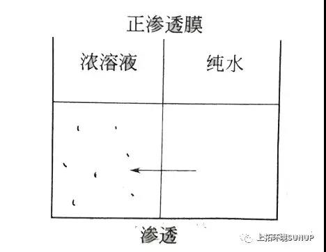 微信图片_20190110092956.jpg