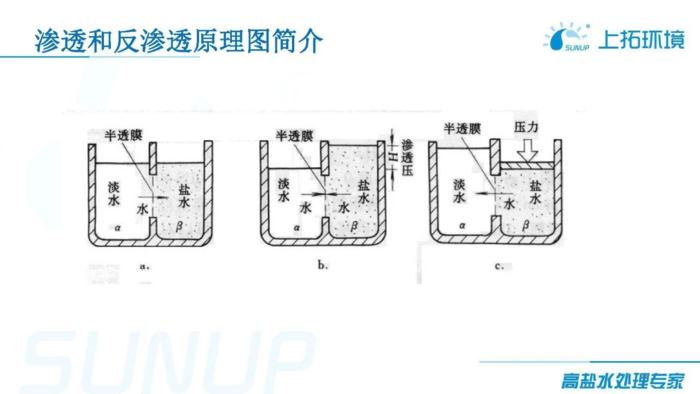 “水”知道丨小朋友都应该知道的水环保知识.png.png