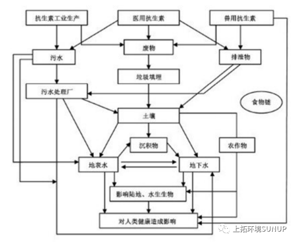 抗生素污水循环图.png